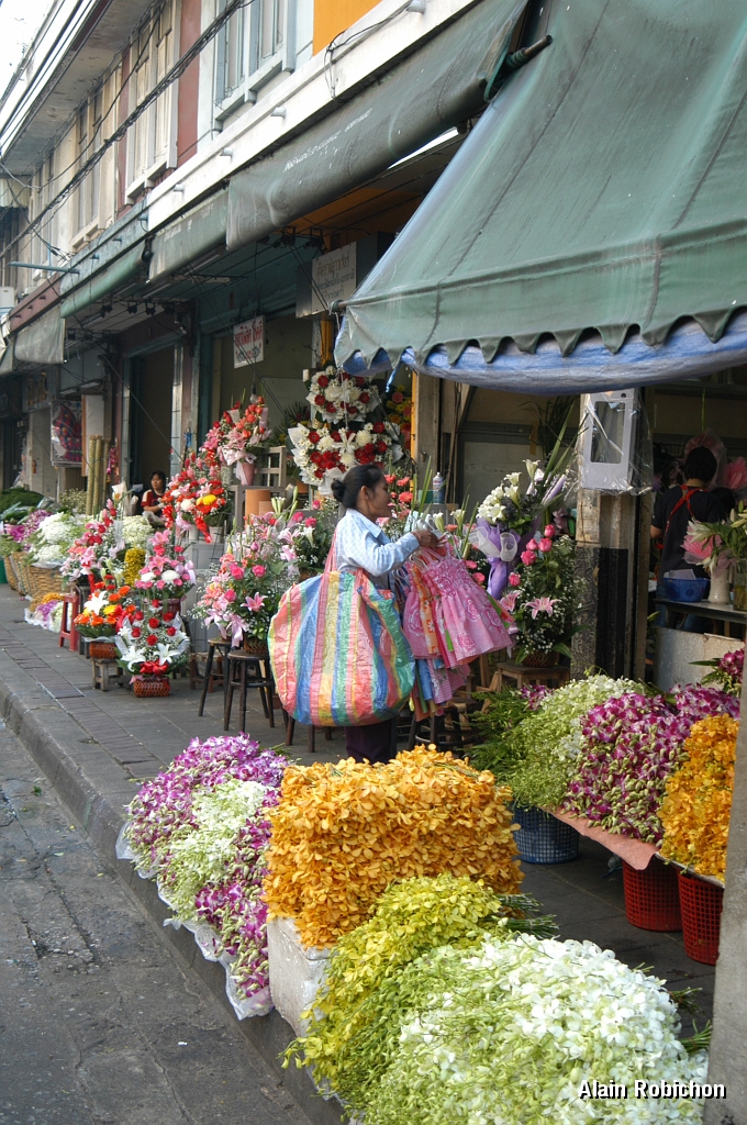 DSC_0012.JPG