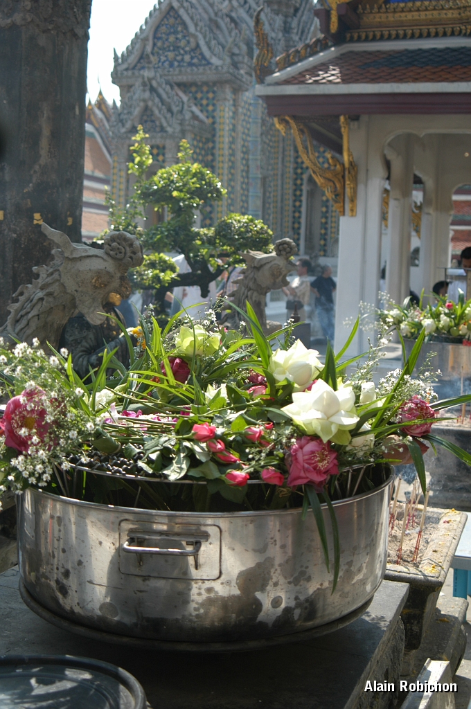 DSC_0035.JPG