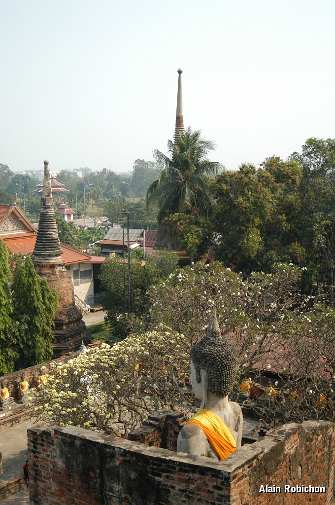 DSC_0050.JPG