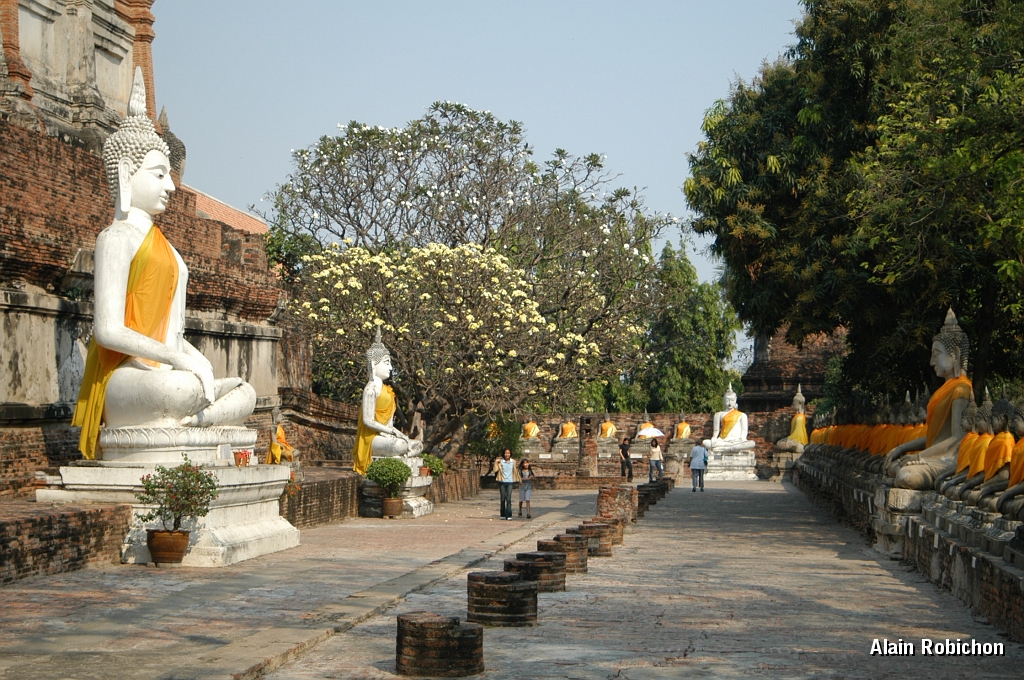DSC_0052.JPG