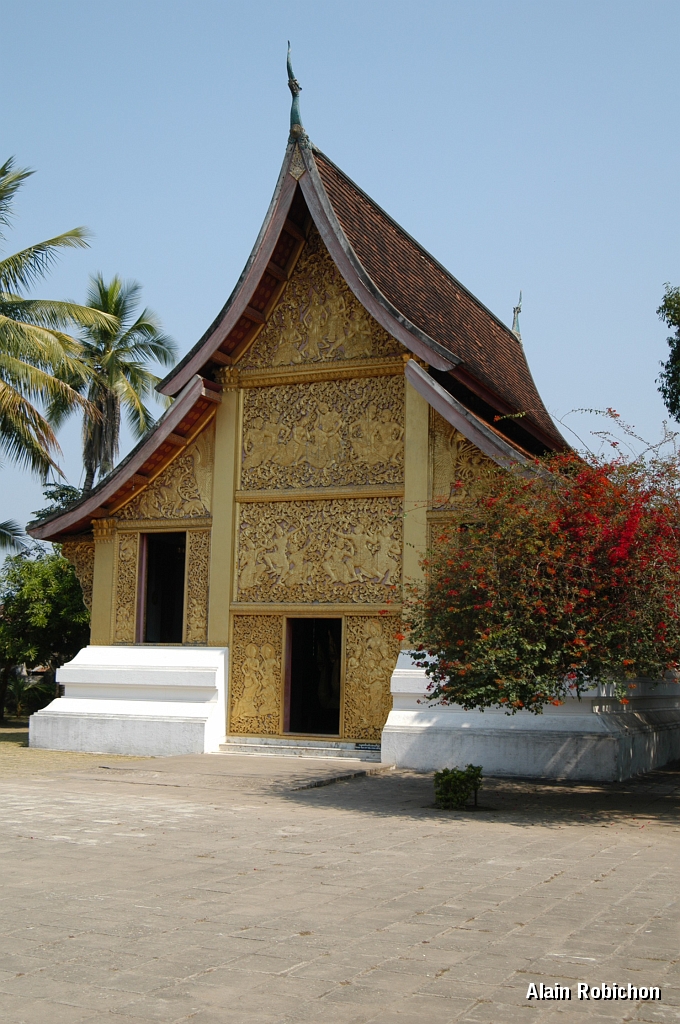 DSC_0246.JPG