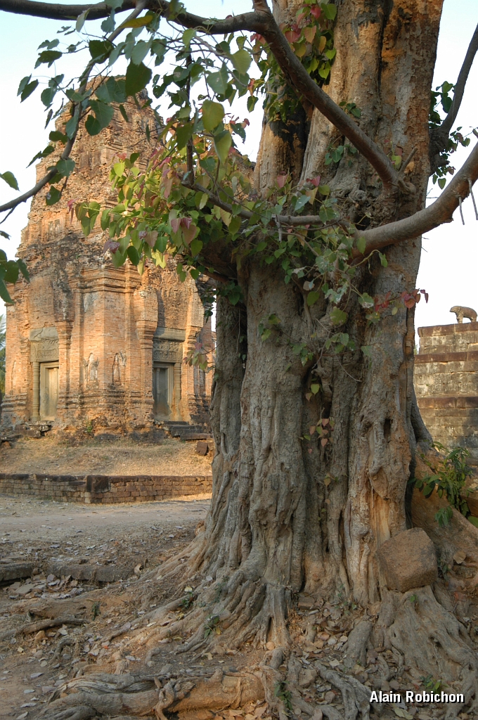 DSC_0395.JPG