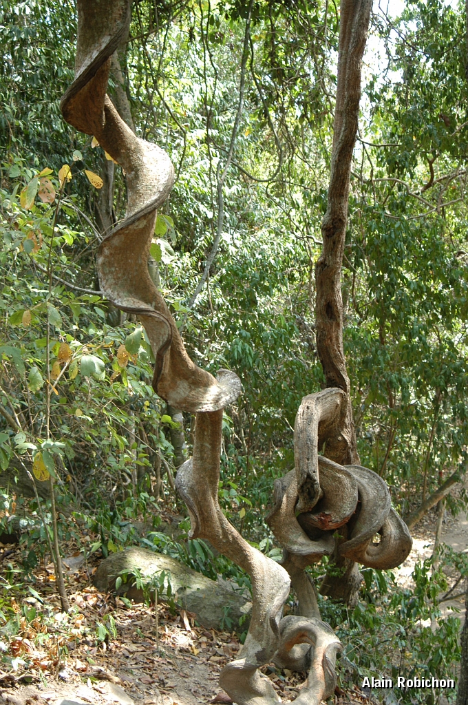 DSC_0448.JPG