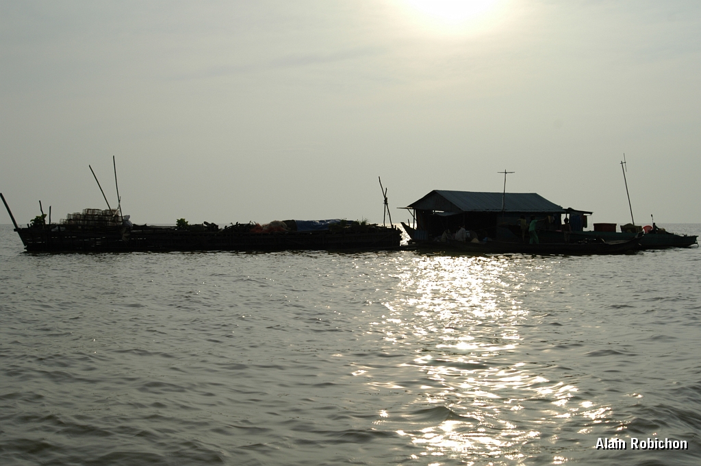 DSC_0463.JPG