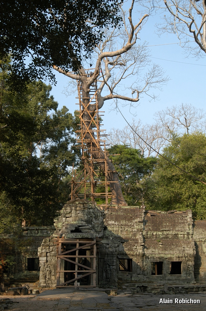 DSC_0481.JPG