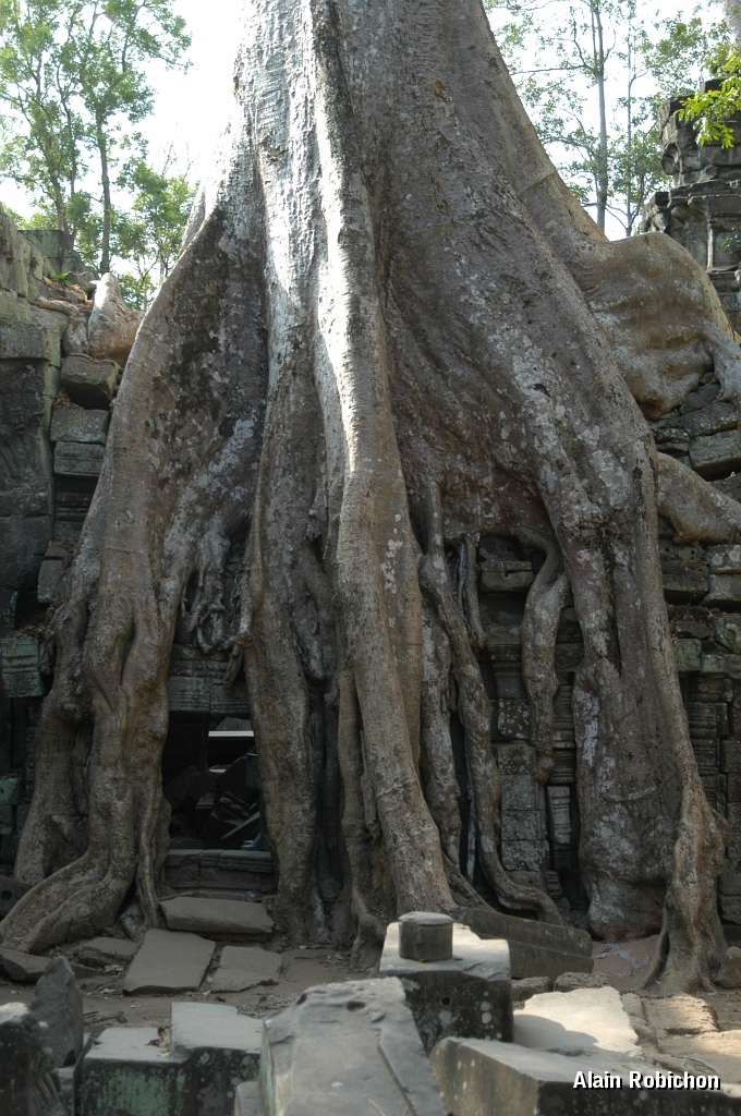 DSC_0500.JPG