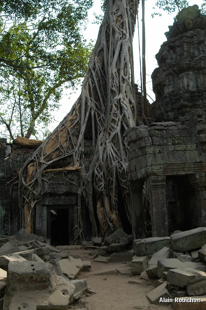 DSC_0507.JPG