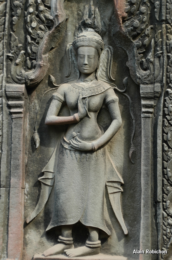 DSC_0508.JPG