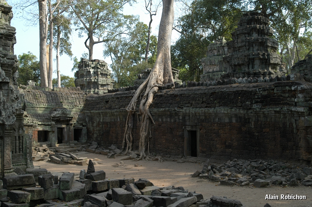 DSC_0511.JPG