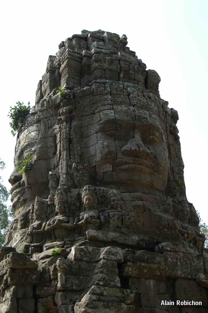 DSC_0516.JPG