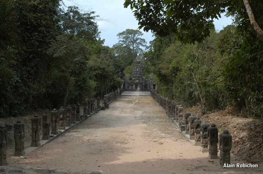 DSC_0518.JPG