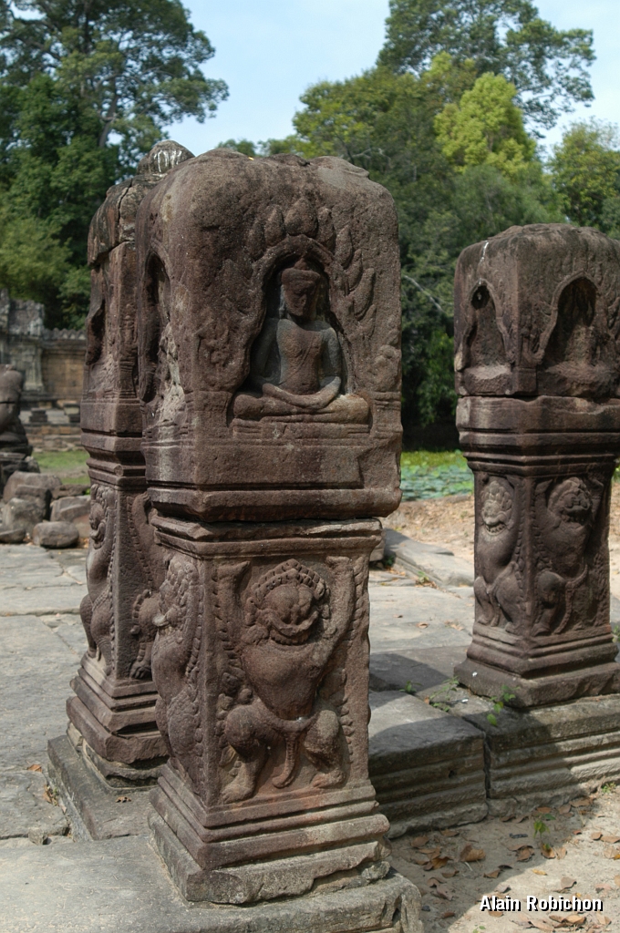 DSC_0521.JPG