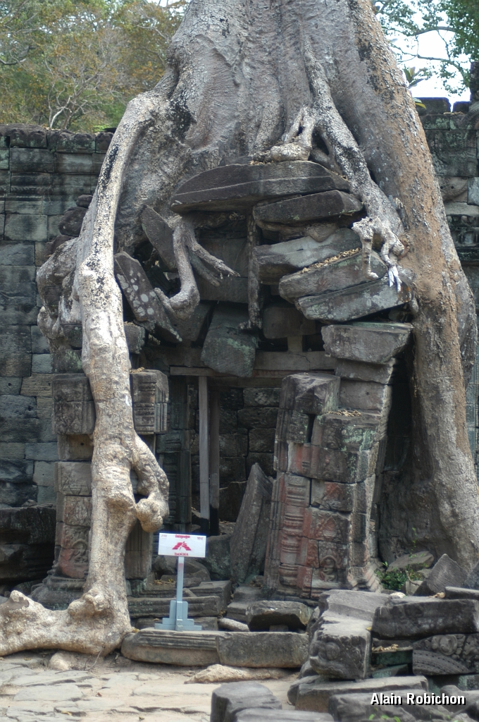 DSC_0530.JPG