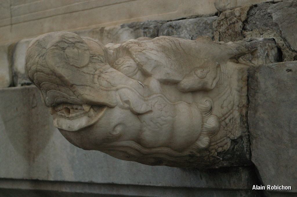 DSC_0071.JPG