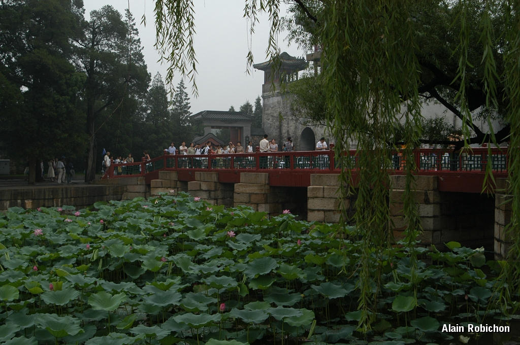 DSC_0084.JPG