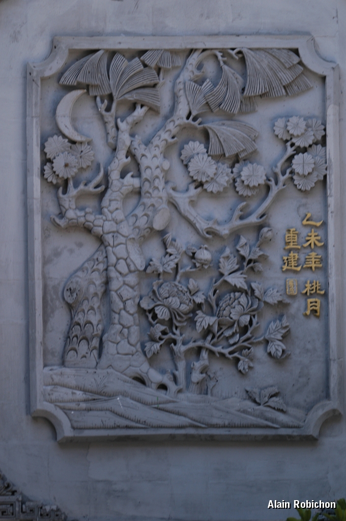 DSC_0111.JPG