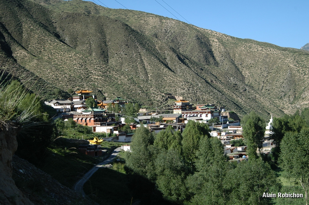 DSC_0129.JPG