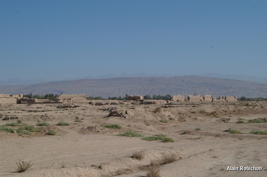 DSC_0260.JPG