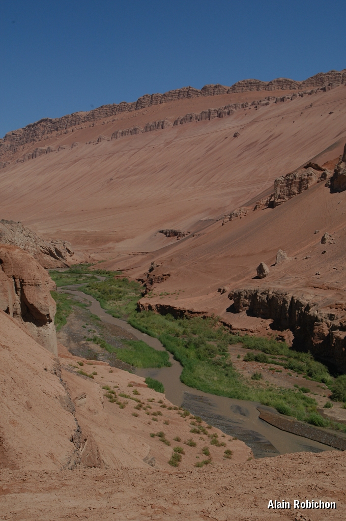 DSC_0267.JPG