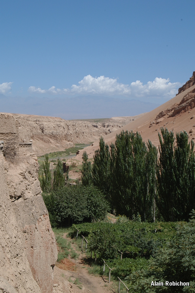 DSC_0270.JPG