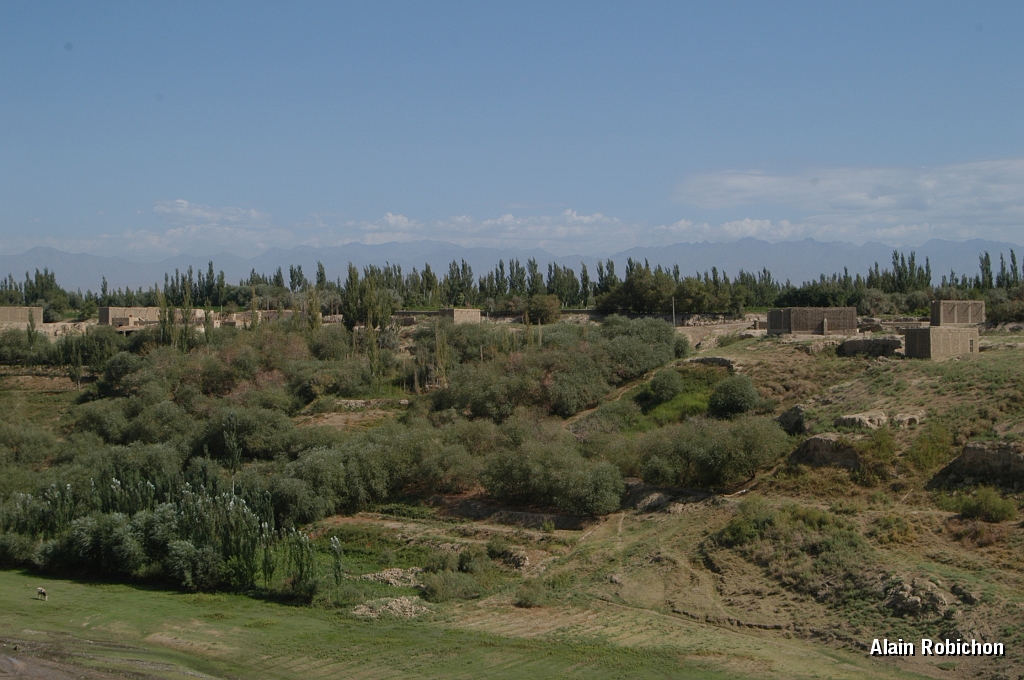 DSC_0304.JPG