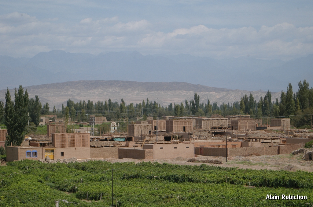 DSC_0312.JPG