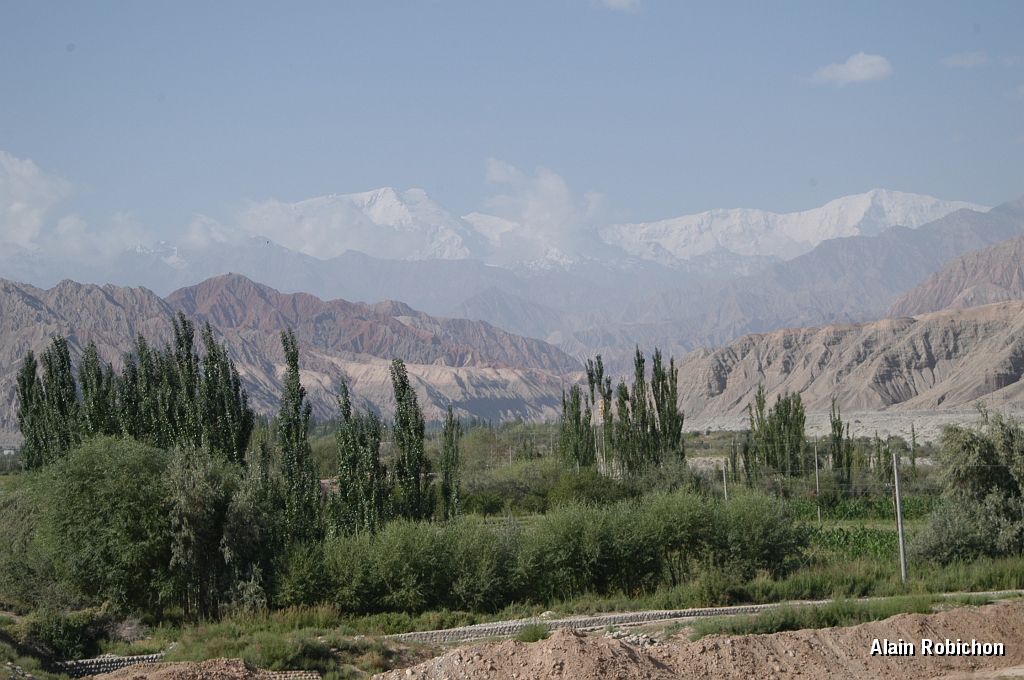 DSC_0315.JPG