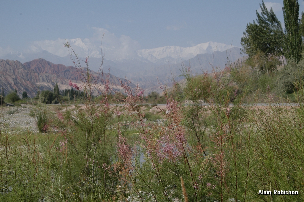 DSC_0318.JPG