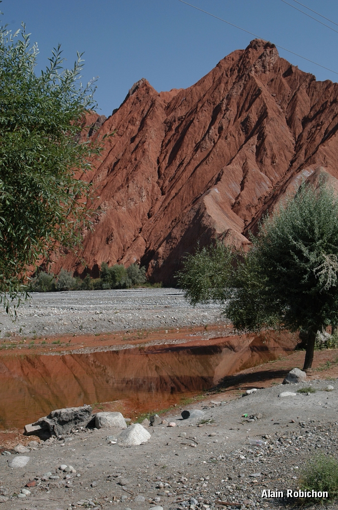 DSC_0320.JPG