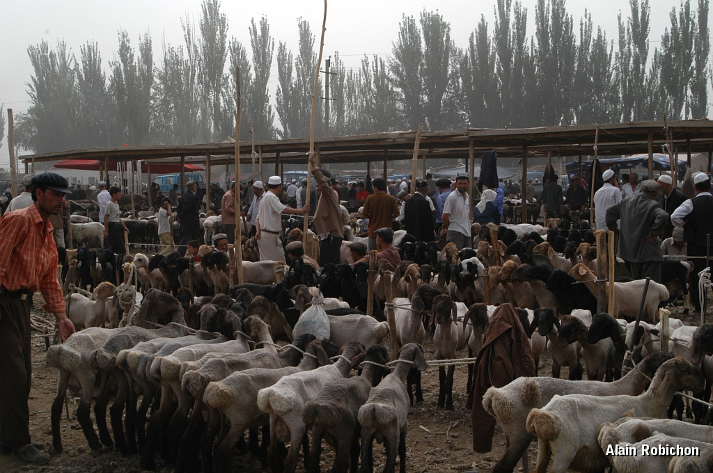 DSC_0371.JPG