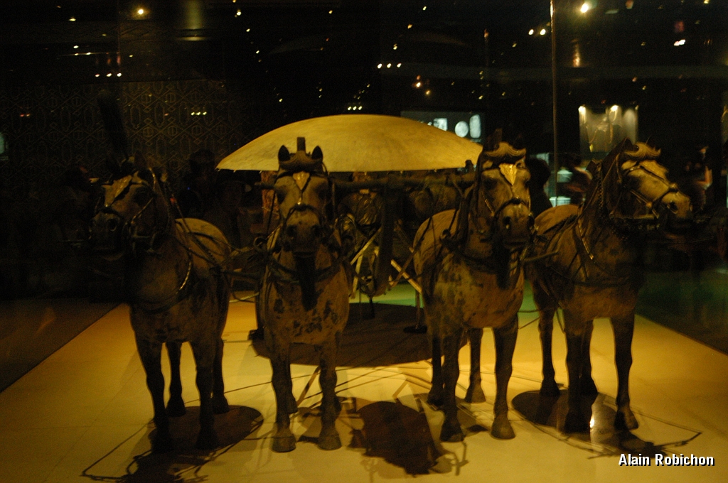 DSC_0423.JPG