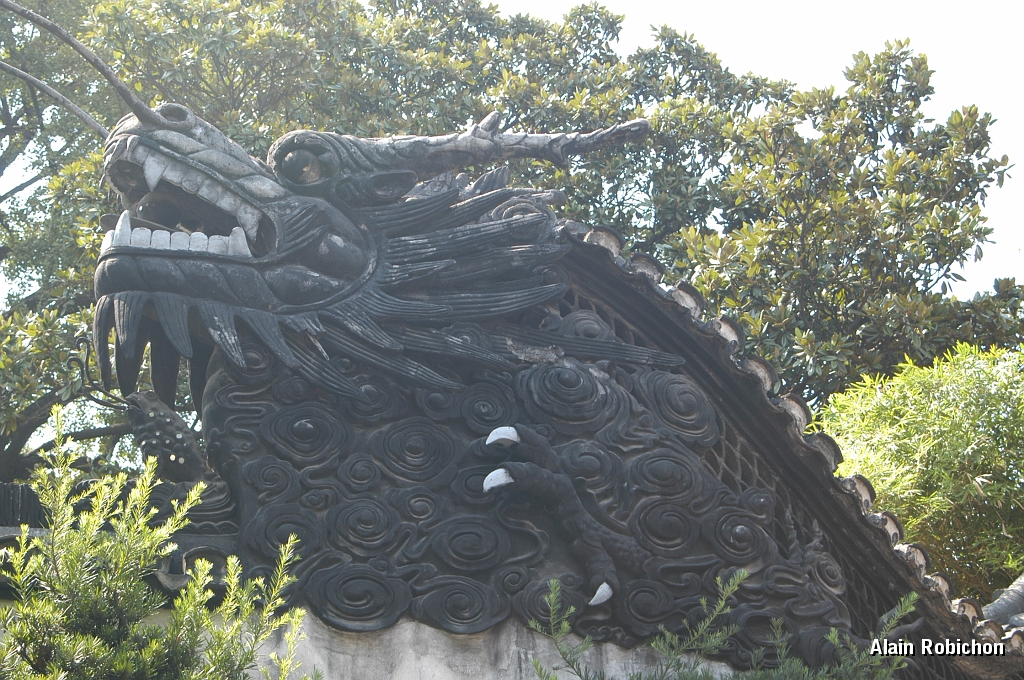 DSC_0477.JPG