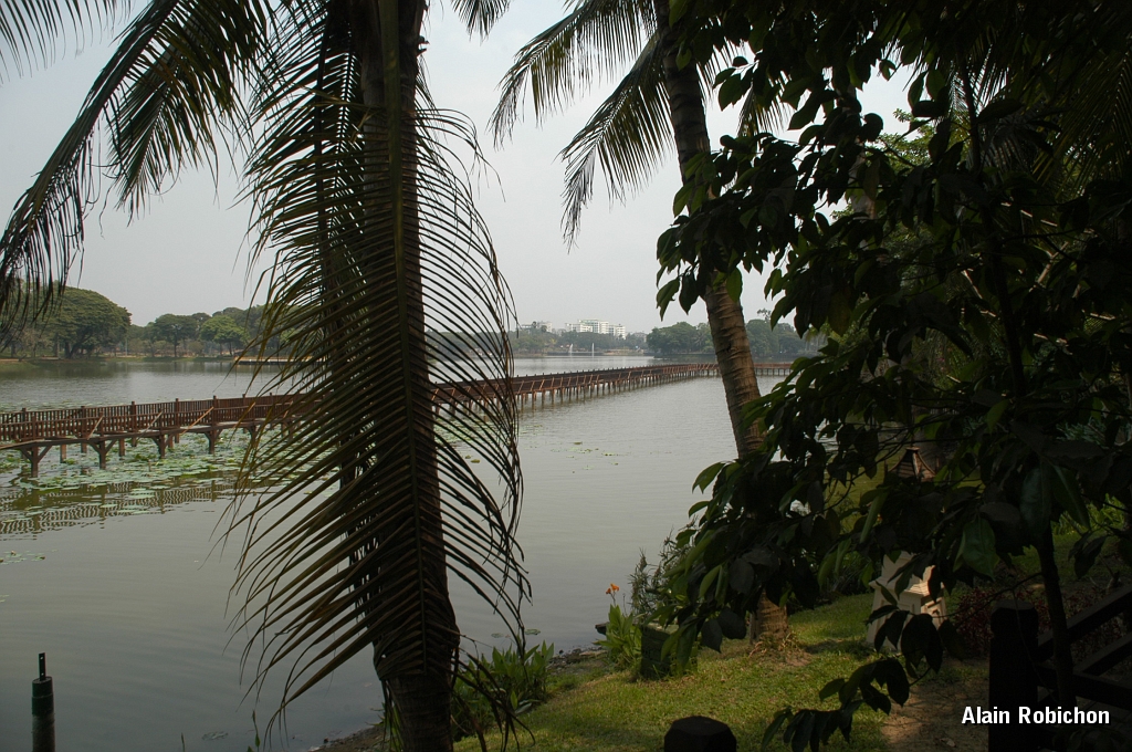 DSC_0001.JPG