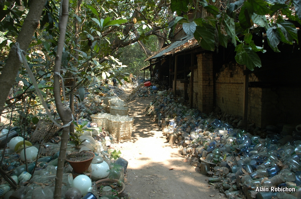 DSC_0076.JPG