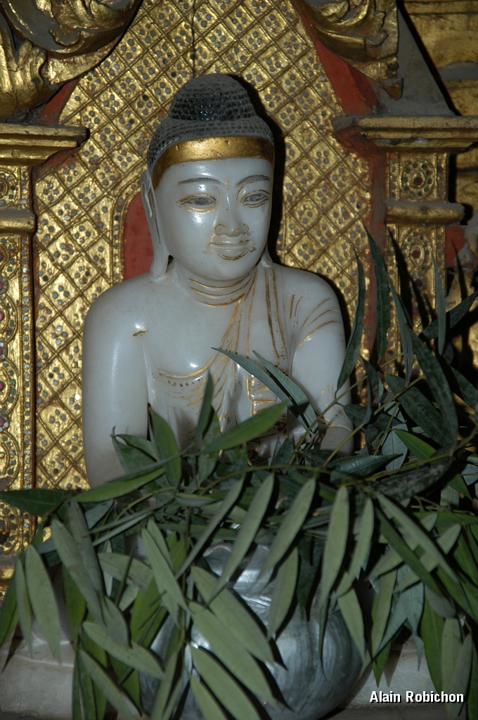 DSC_0110.JPG