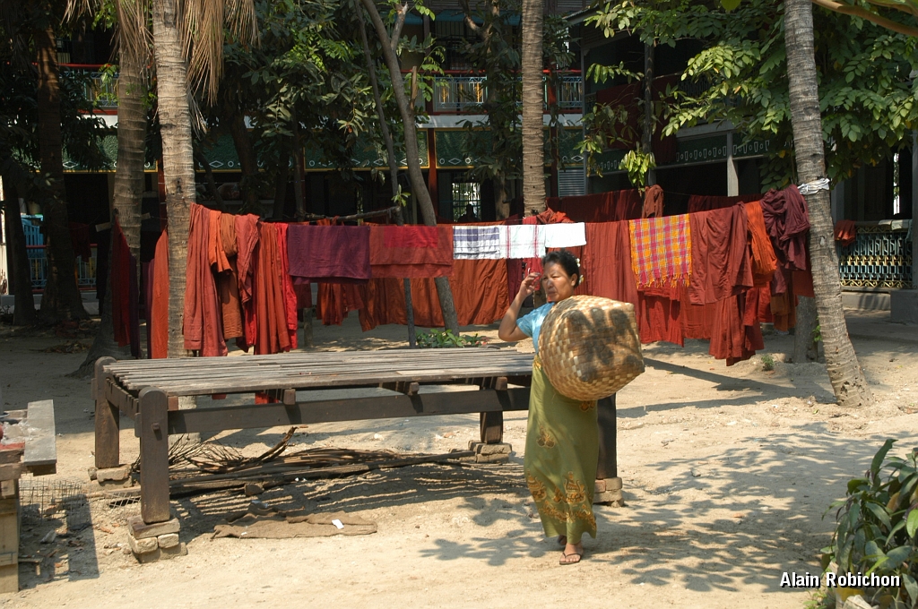 DSC_0133.JPG