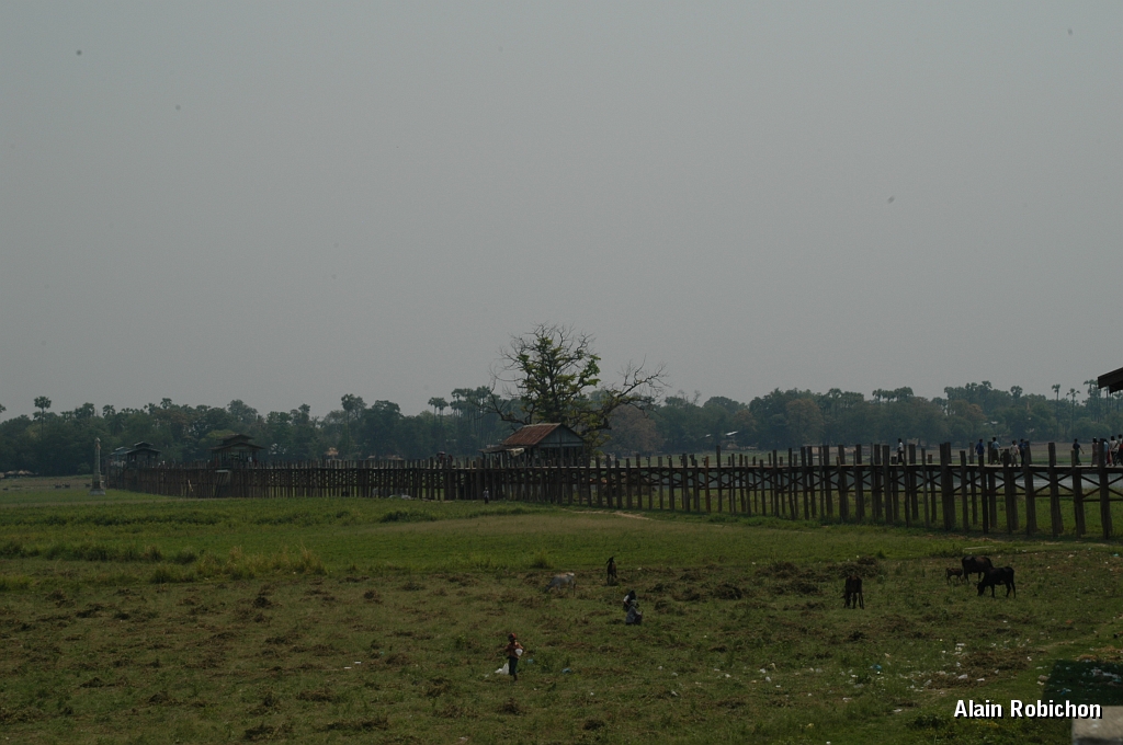 DSC_0138.JPG