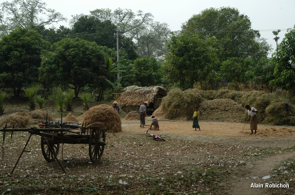 DSC_0164.JPG
