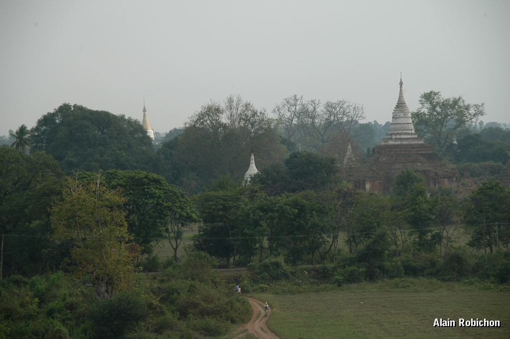DSC_0174.JPG
