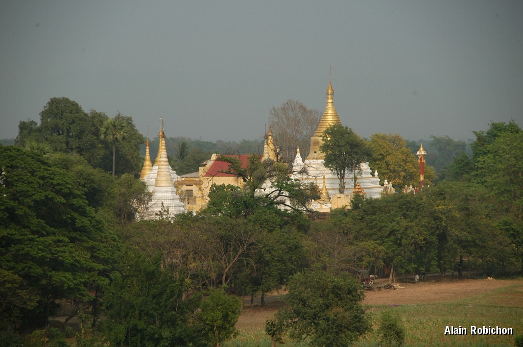 DSC_0177.JPG