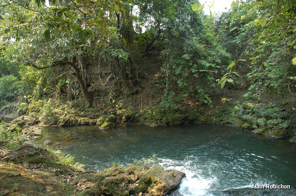 DSC_0210.JPG