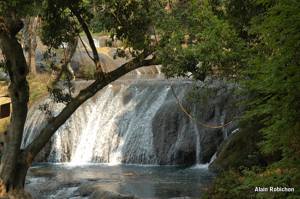 DSC_0218.JPG