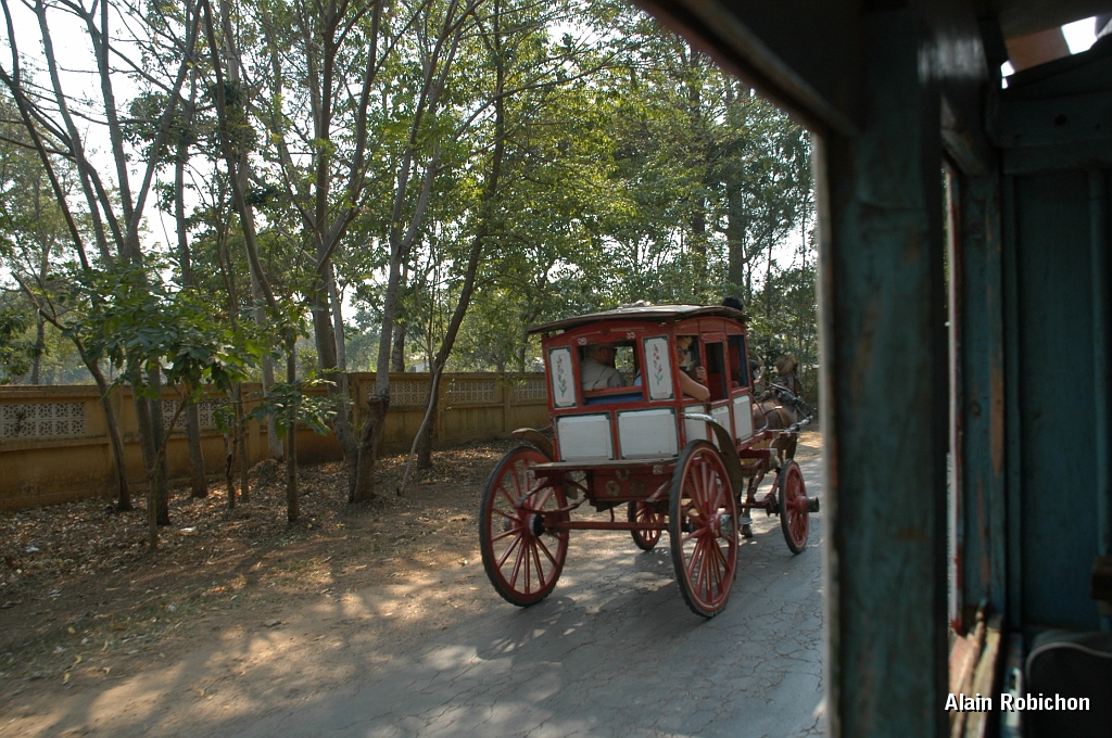 DSC_0230.JPG