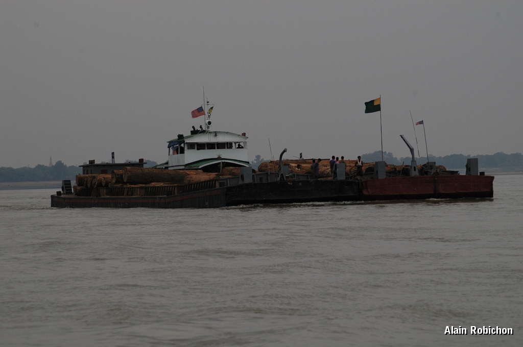 DSC_0290.JPG
