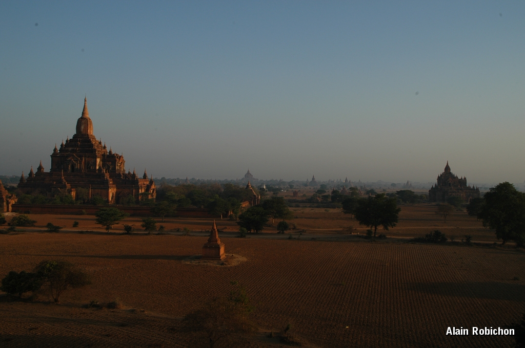 DSC_0336.JPG