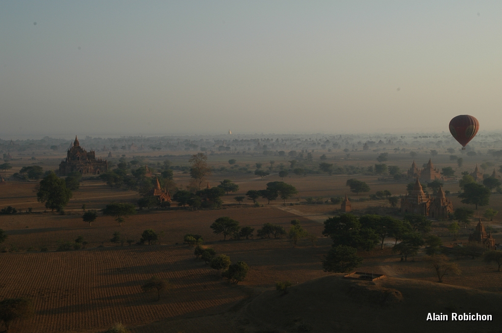 DSC_0338.JPG