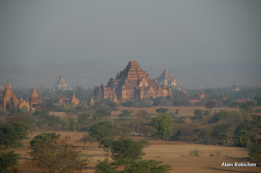 DSC_0346.JPG