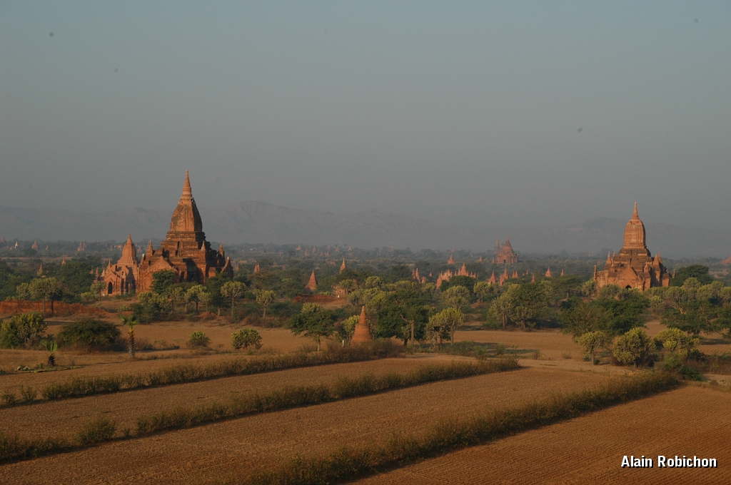 DSC_0353.JPG