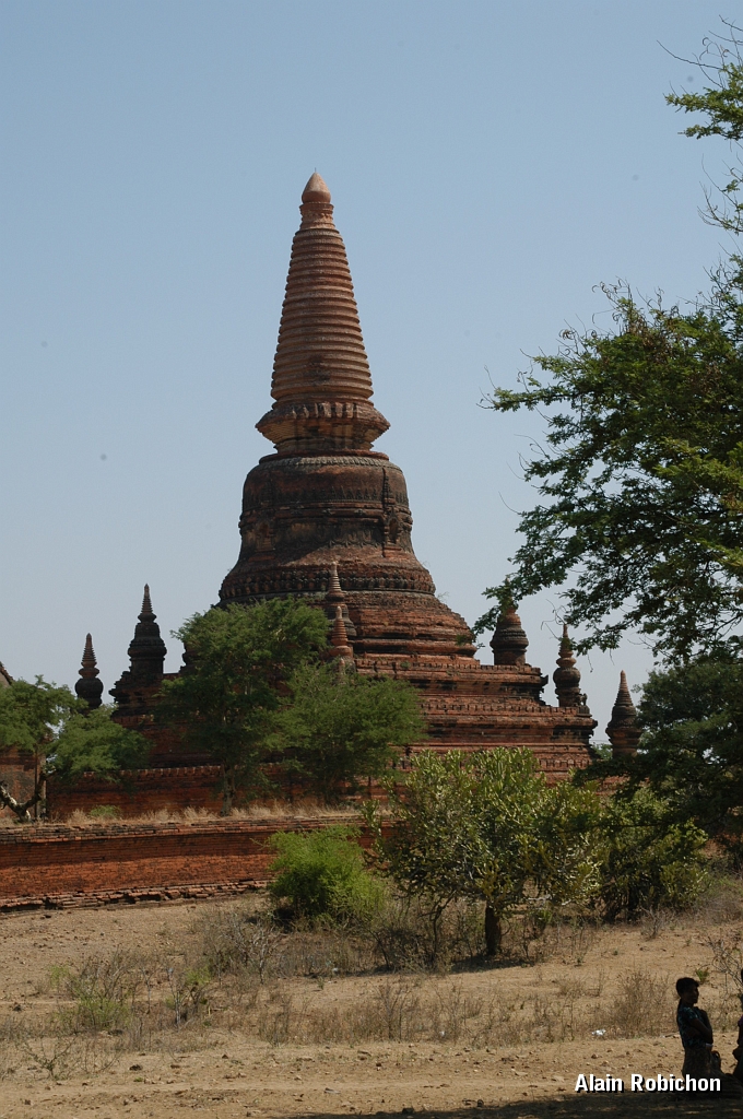 DSC_0367.JPG