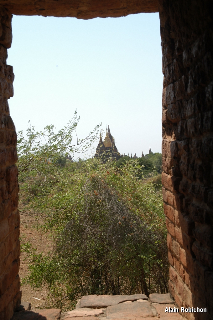 DSC_0372.JPG